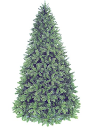 POLY GRODEN SPRUCE