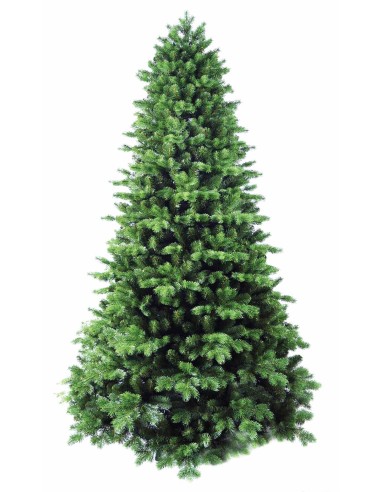 POLY WONDER SPRUCE